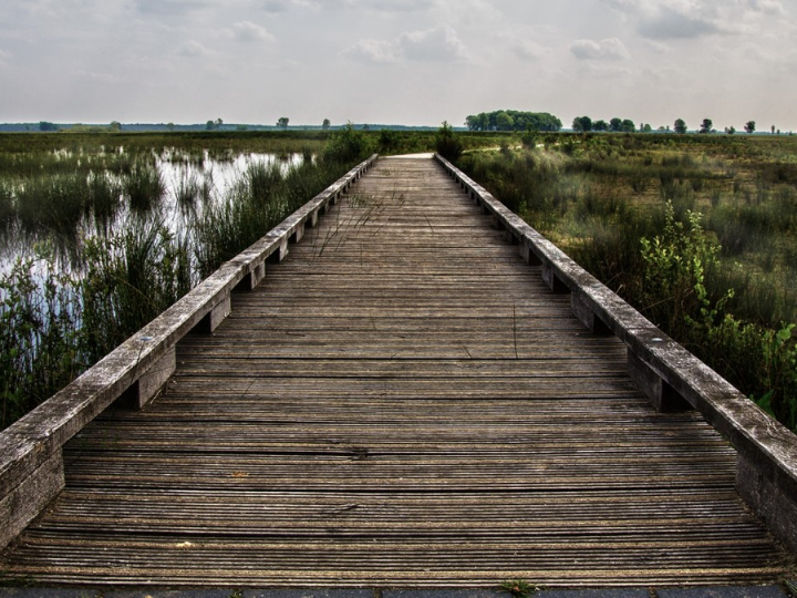 acciones para conservar el agua pasos practicos para una optima conservacion del agua en tu hogar y comunidad