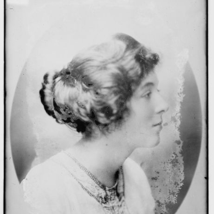 analisis comparativo trotti peluche el juguete suave ideal para los mas pequenos