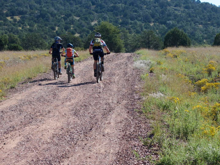 analisis de cortavientos para playa la proteccion ideal en tus aventuras de montana y riesgo