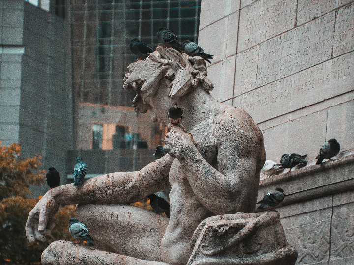 analisis de la excelencia enologica paloma minguez y su destacado cava