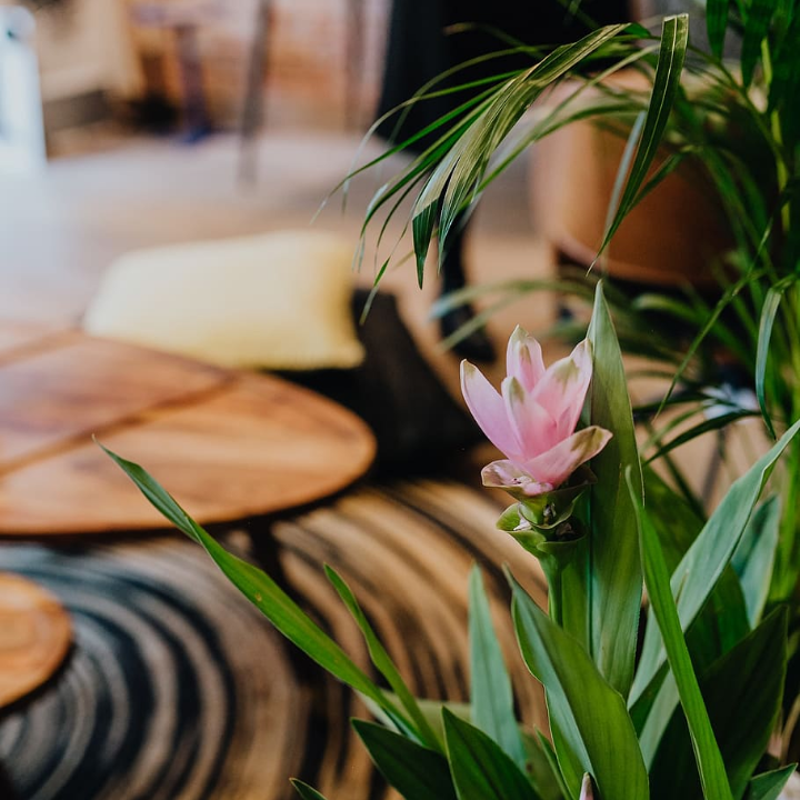 analisis de los pendientes morados de rafia tendencia y estilo en complementos de moda