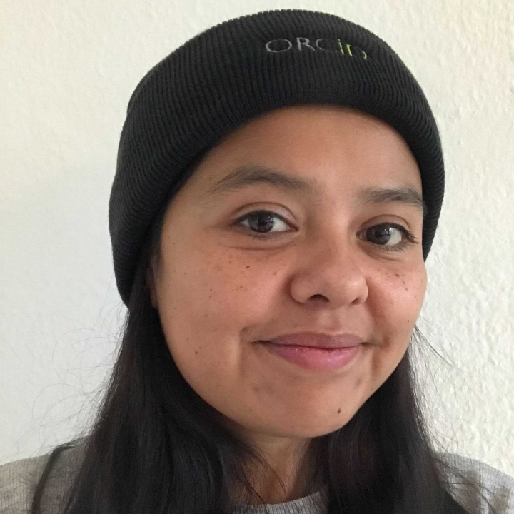 analisis de precios todo lo que necesitas saber sobre el pez betta