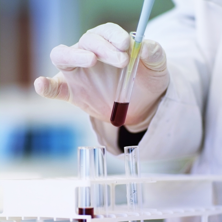 analisis del lazo de sangre en el manga los productos freakys japoneses mas impactantes