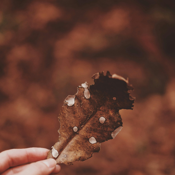 analisis descubre el mejor albarino 2023 icomparativa de los mas destacados