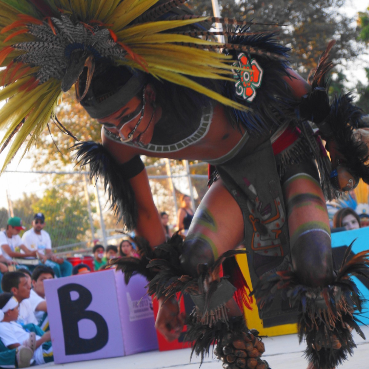 analisis y comparativa de los mejores disfraces gitanos para tus bailes flamencos