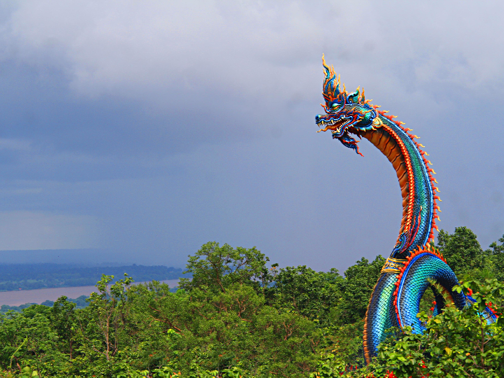 analisis y comparativa todo sobre el t racers dragon loop idescubre sus ventajas