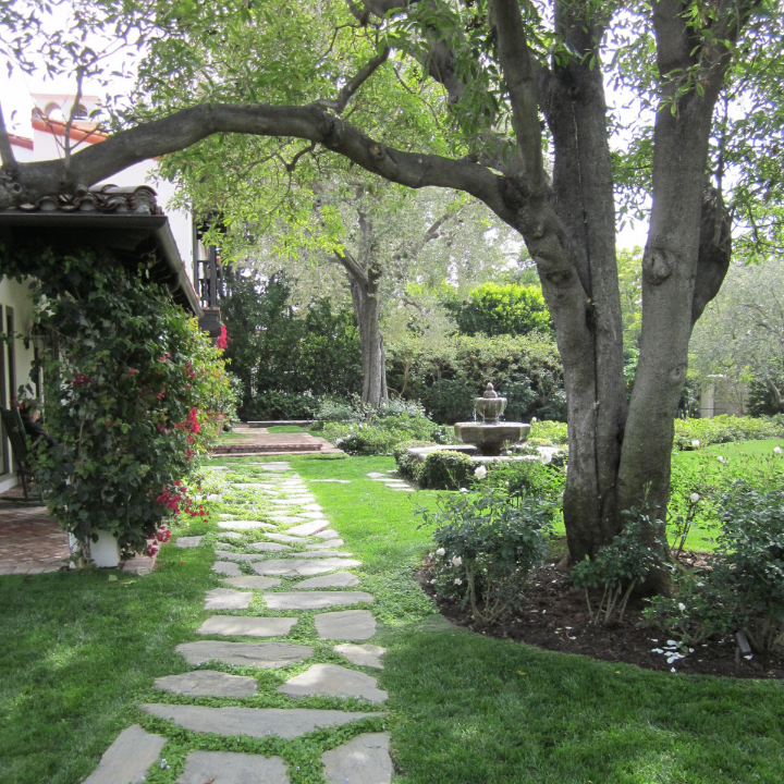 anayba paisajismo viveros