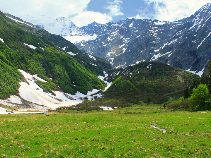 arturo alba formula formula bruma fitoactiva 125 ml