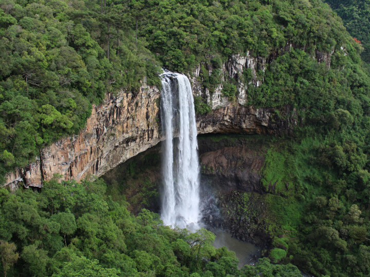 bakuchiol sytenolo a