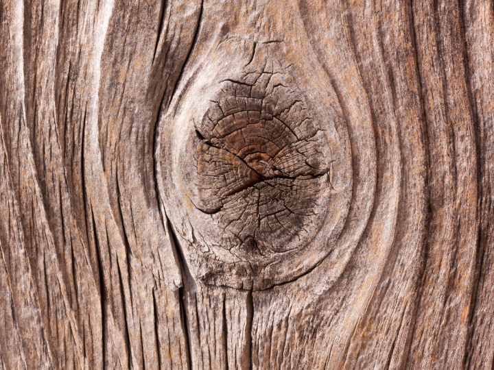 bepanthol para fisuras anales el aliado perfecto para aliviar y tratar este problema