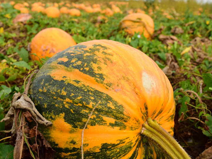 calabaza electronica duende verde spiderman no way home marvel