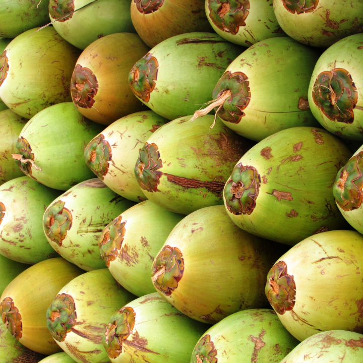 coco rico mallorca descubre el exotico sabor internacional que deleitara tu paladar