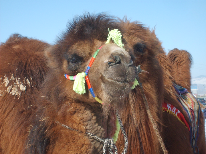 como evitar el camel toeing al practicar deportes de invierno analisis y comparativa de los mejores productos