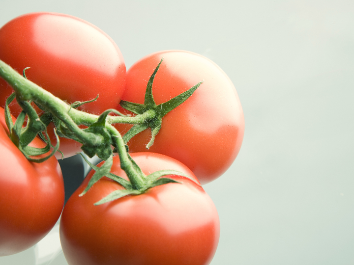 como trasplantar hortalizas tecnica profundidad y consejos