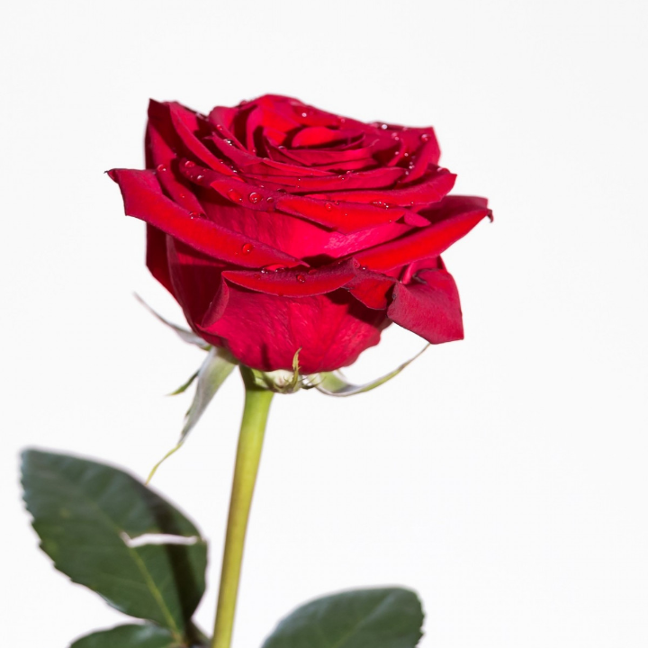 cortar el agua de la caldera tutorial paso a paso