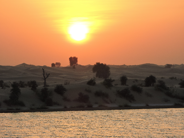 descubre el oasis de las bebidas analisis positivo de esta refrescante opcion internacional