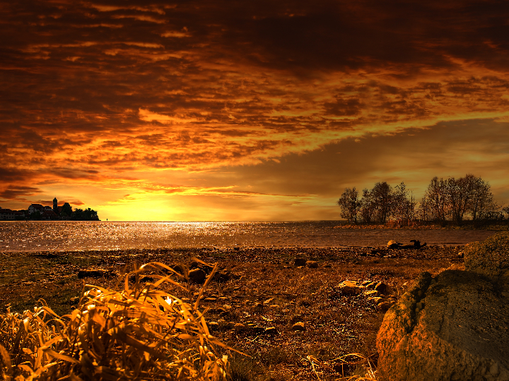 dibaq natural moments adult medium