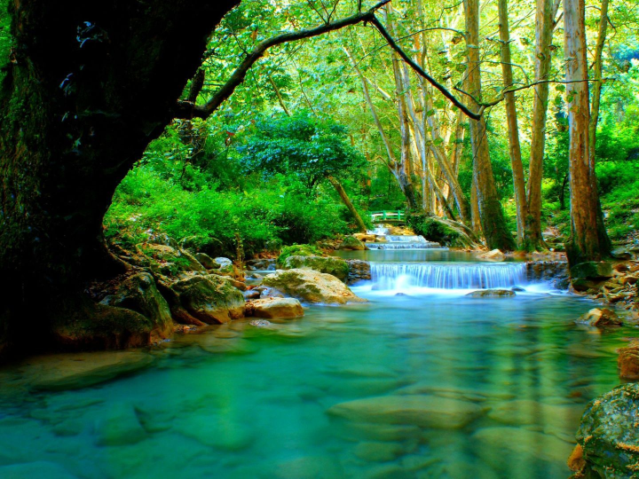 el asesino de green river