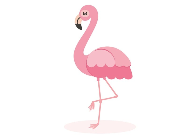 evolucion de los instrumentos flamencos