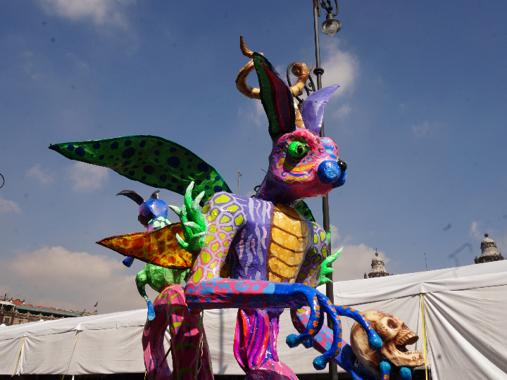 falsos mitos sobre el calzado minimalista o barefoot