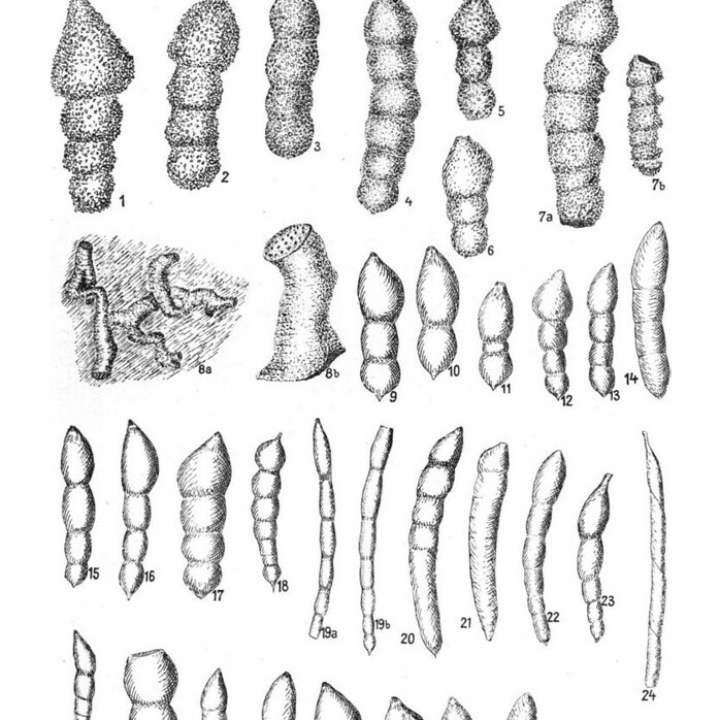 franke atlas neo grifo de fregadero fc 3791 504 con cano extraible oro 115 0681 242
