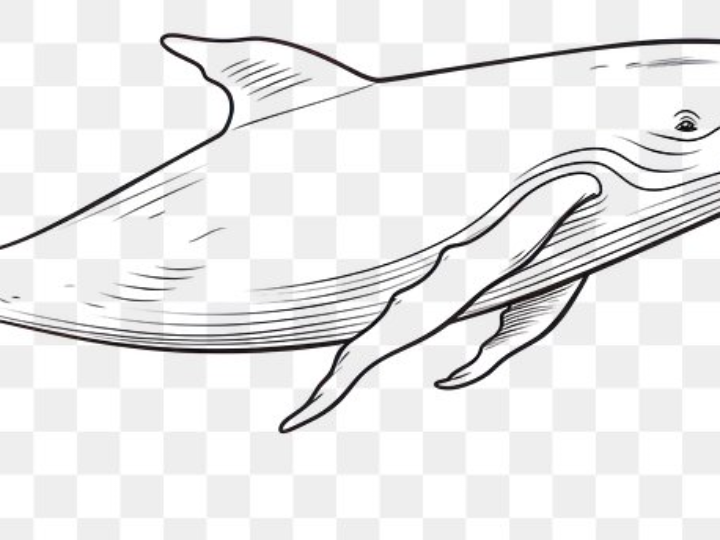 frasco de perfume 30 ml redondo pulverizador plastico