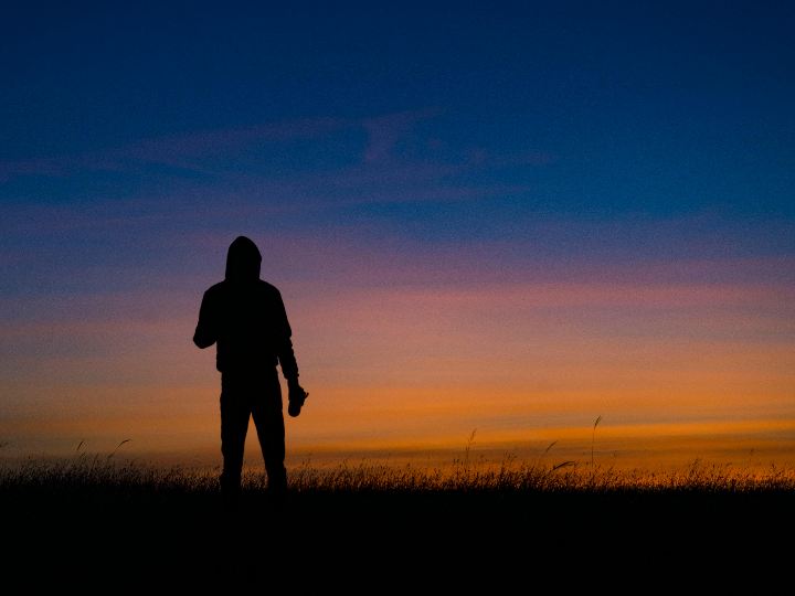 fukien tea bonsai carmona bonsai tree care growing guide