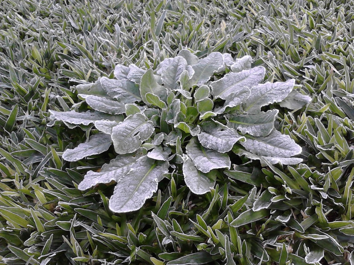 guia completa de la bolsa de gel frio para deportistas imanten tu congelador listo para la accion