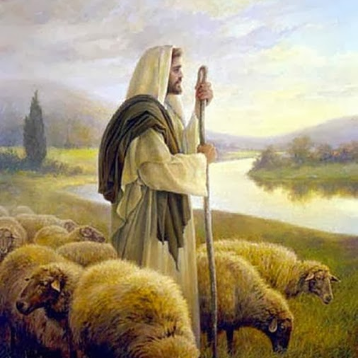 guia completa para preparar deliciosos crepes sin gluten analisis y comparativa de las mejores recetas