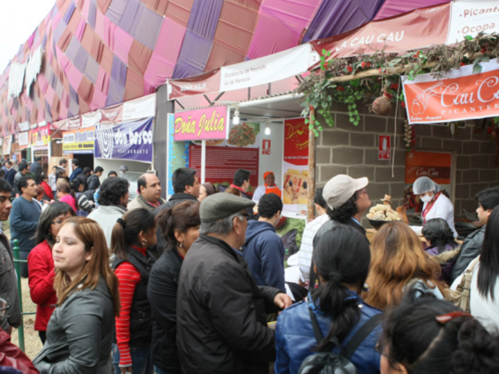 guia de acuario todo lo que necesitas saber sobre peces en aguas negras