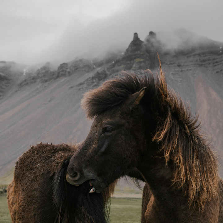 hidrofix fijador e impermeabilizante acrilico alp tollens
