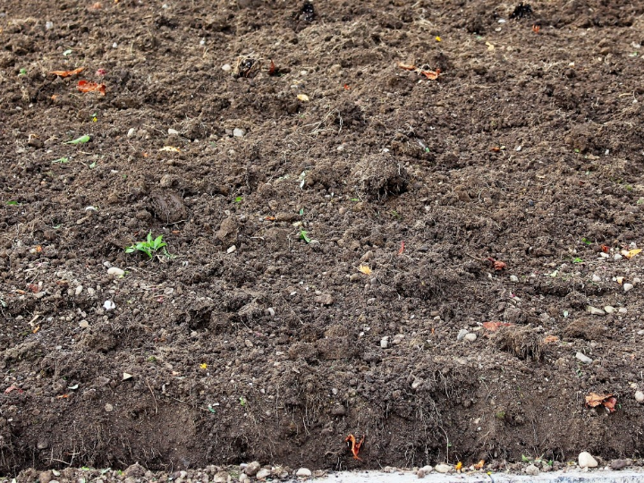 humus liquido la clave para un suelo sano y productivo