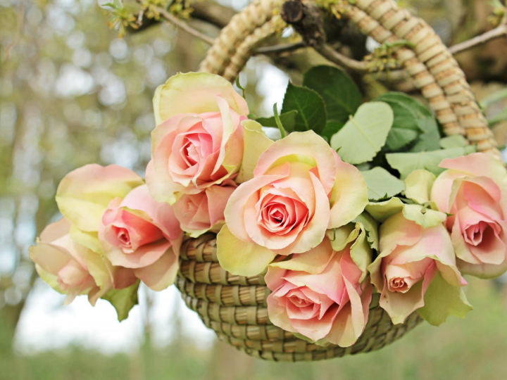 las emociones a flor de piel