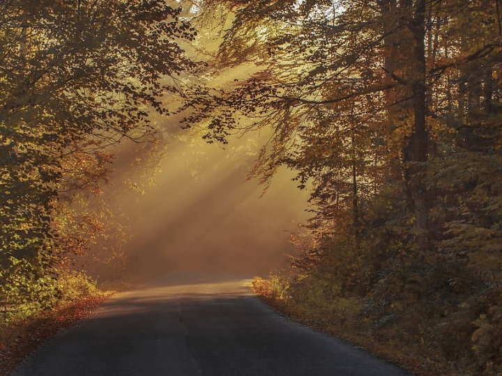 las mejores recetas para festejar el dia del chocolate