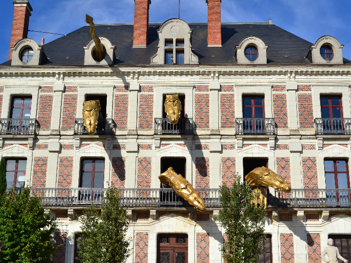 lophomyrtus magic dragon pequena estrella