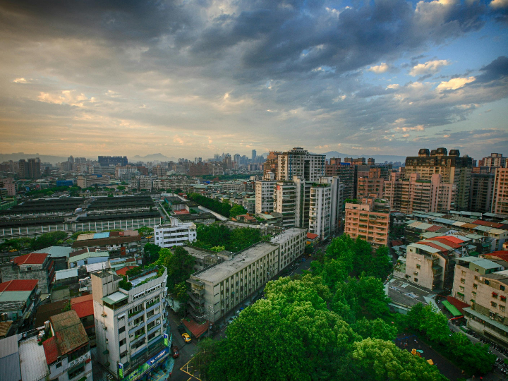 los mejores aceites natao del mercado analisis y comparativa completa