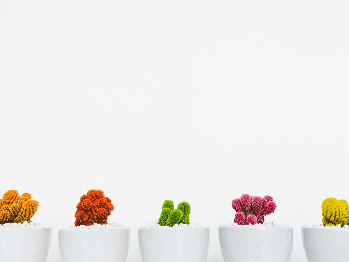maceta para colorear idespierta tu creatividad y decora tu hogar con la maceta perfecta para darle vida a tus plantas