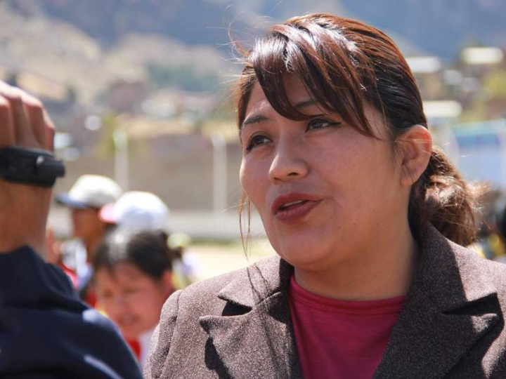 medicamentos como sileo y imepitoin recomendados por veterinarios