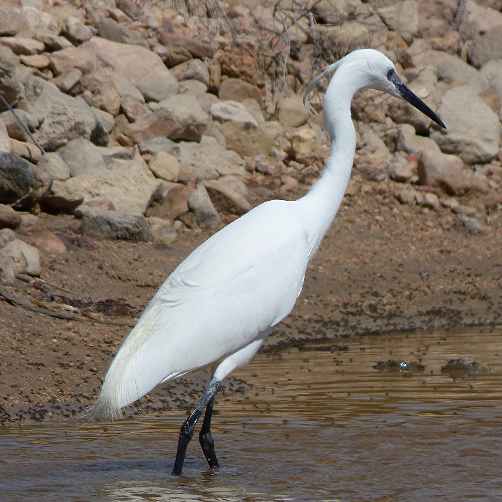 merece la pena visitar miranda de ebro descubre las mejores opciones de juguetes en esta ciudad