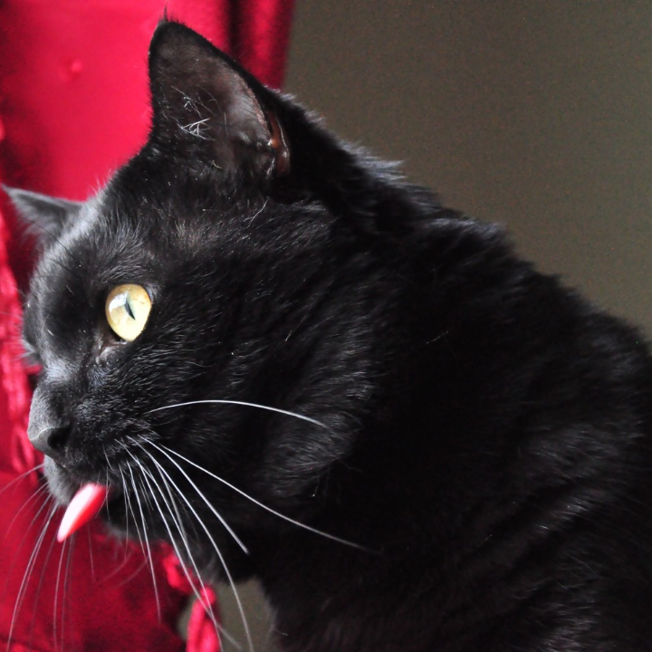 opiniones sobre benfix mercadona vale la pena comprarlo