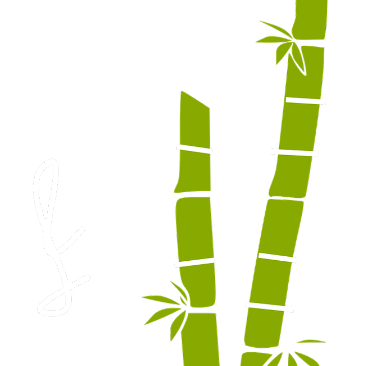 opiniones sobre el yogur natural con azucar de cana mercadona la opcion mas saludable