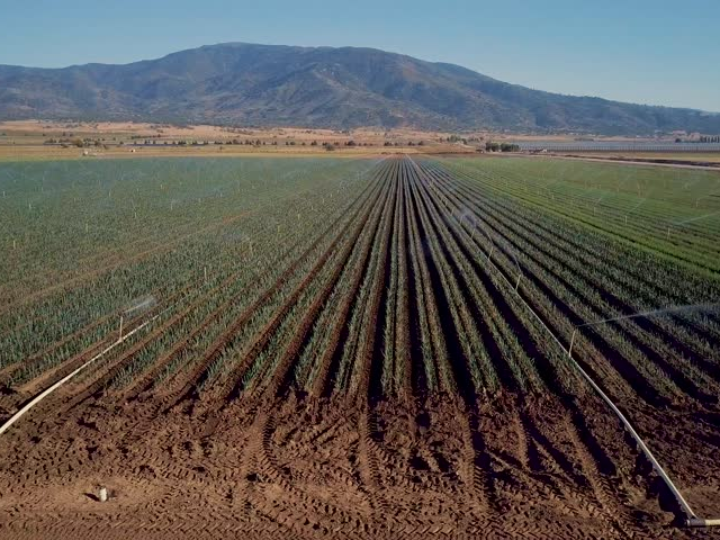 parts of the sprinkler system