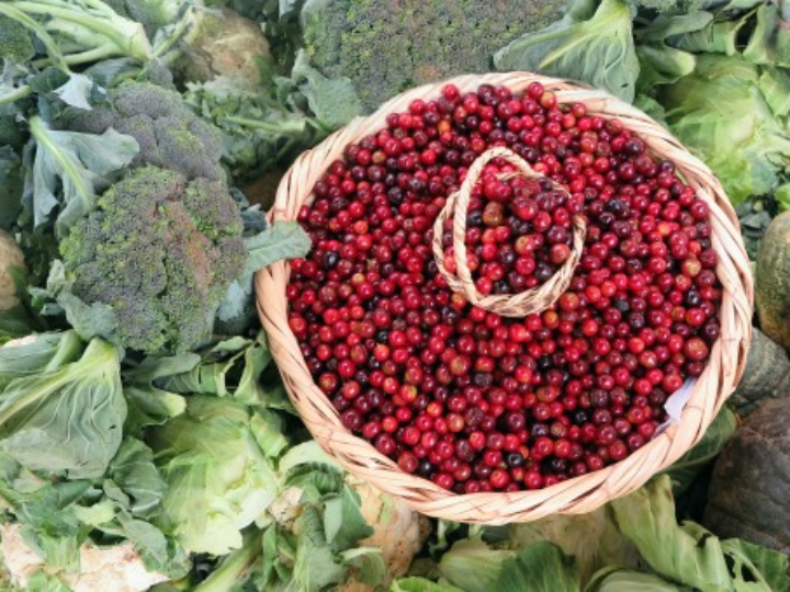 pasta di ceci descubre los beneficios de este delicioso superalimento italiano