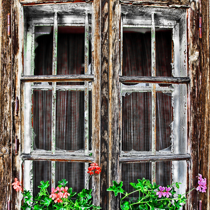 persiana alicantina madera de pino do soria