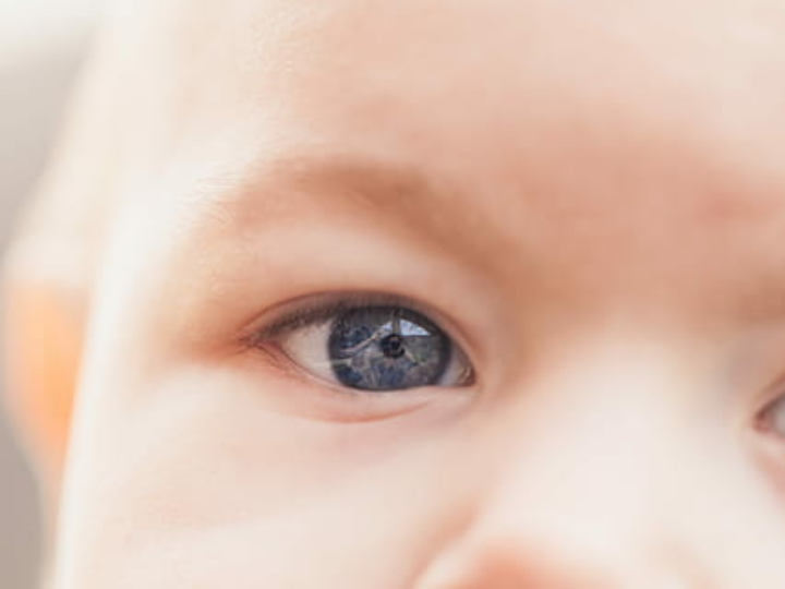 porta cuentas azul marino