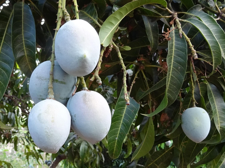 que indica la cifra 640a en una bateria de automovil