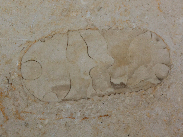 que son las placas solares y como funcionan