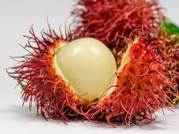rambutan la exotica perla vietnamita