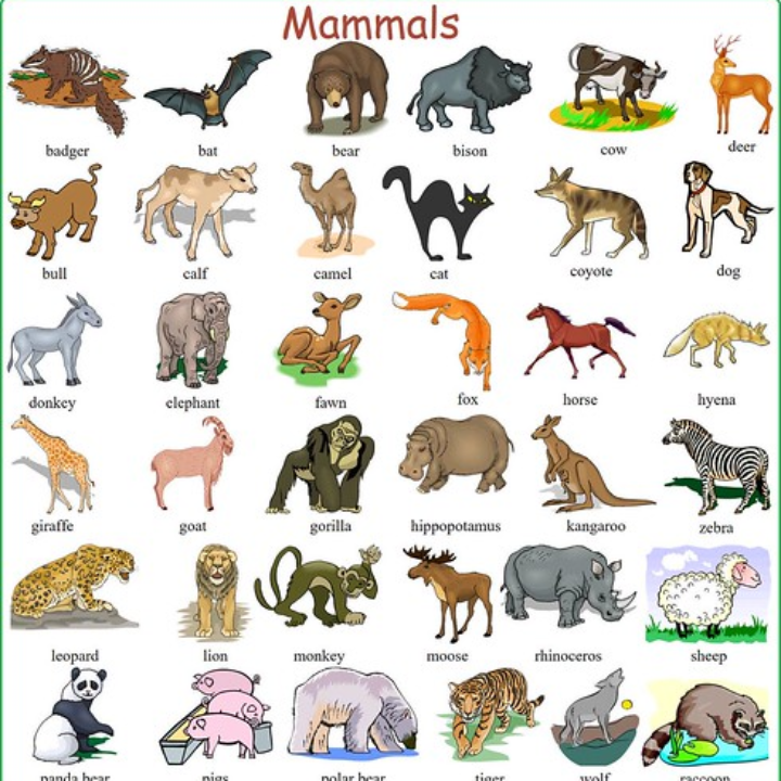 remolque de fibra onne l