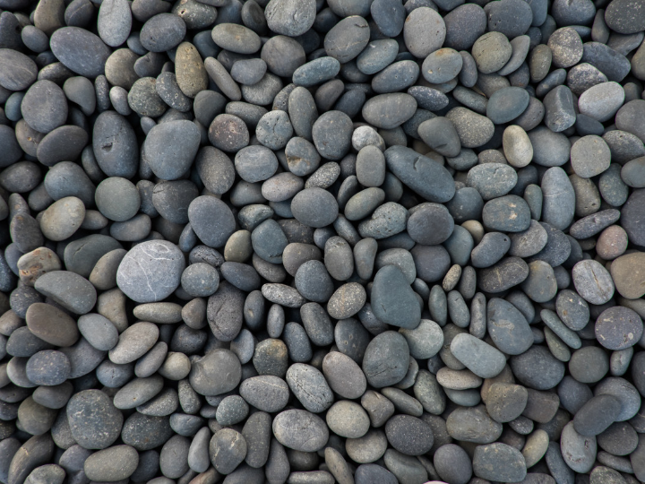 ruedas y rotantes para industria